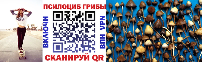 Галлюциногенные грибы Psilocybine cubensis  Приволжский 